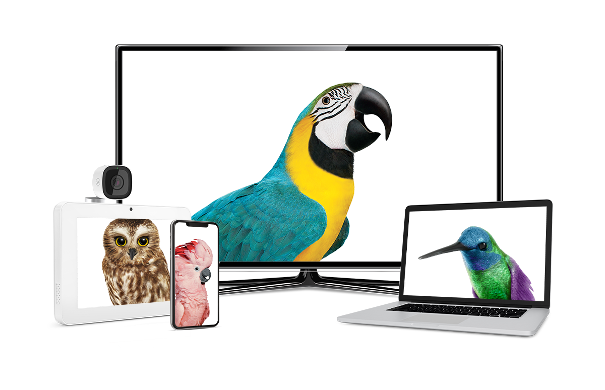 Maintel O2 & Virgin Media